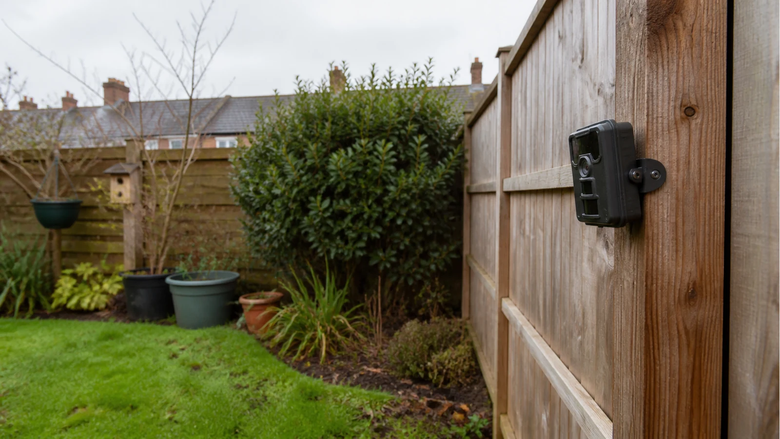 Garden trail camera aimed into own UK plot away from neighbouring windows